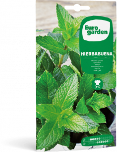 EUROGARDEN - Semilla Hierbabuena